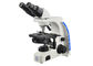 Uopの専門の双眼顕微鏡の最も高い拡大の顕微鏡 サプライヤー