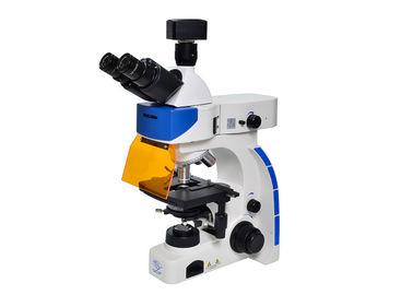 中国 LED TrinocularのB及びGの蛍光性フィルターが付いている直立したけい光顕微鏡 サプライヤー