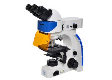 中国 UOPの直立したけい光顕微鏡、高リゾリューションの蛍光顕微鏡 サプライヤー
