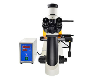 中国 段階の対照のB Gフィルターが付いているUOPによって逆にされるけい光顕微鏡 サプライヤー