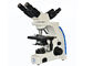 3W LEDの軽い多観覧の顕微鏡1000xの拡大2の位置 サプライヤー