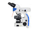 UOPの直立したけい光顕微鏡、高リゾリューションの蛍光顕微鏡 サプライヤー