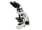 UP102iの双眼偏光の顕微鏡検査の教育UOPの顕微鏡 サプライヤー