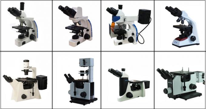 専門のTrinocularの直立したけい光顕微鏡100Wの水星ランプ