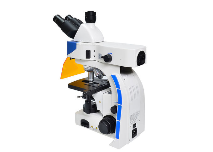 LED TrinocularのB及びGの蛍光性フィルターが付いている直立したけい光顕微鏡