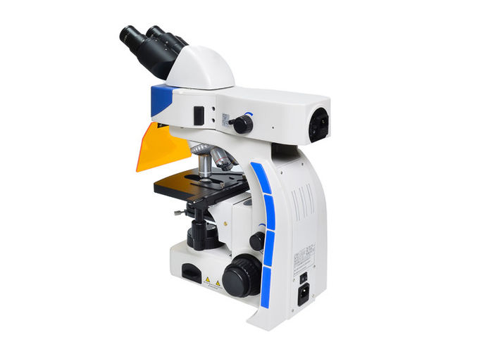 UOPの直立したけい光顕微鏡、高リゾリューションの蛍光顕微鏡