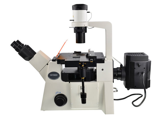 DSY5000Xによって逆にされる光学顕微鏡B/G/V/UVフィルター直立した、逆にされた顕微鏡