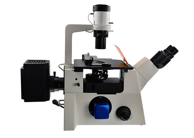 DSY5000Xによって逆にされる光学顕微鏡B/G/V/UVフィルター直立した、逆にされた顕微鏡